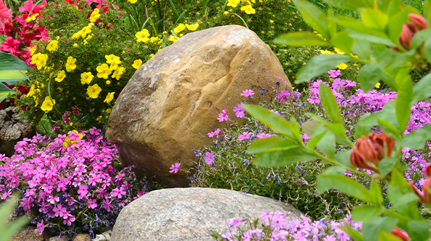 promix-drought-tolerant-garden-03
