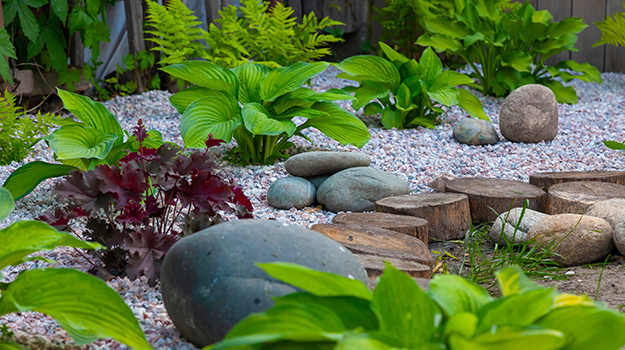 promix-drought-tolerant-garden-07