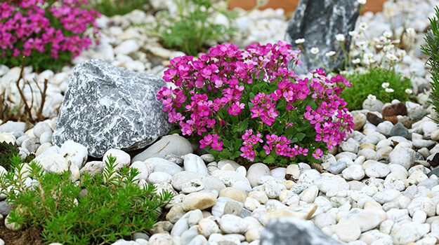 promix-drought-tolerant-garden-10