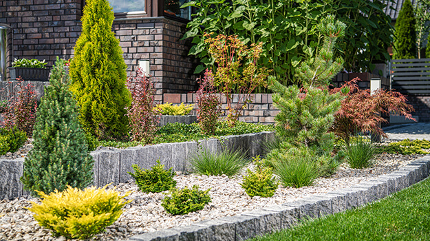 promix-drought-tolerant-garden-16
