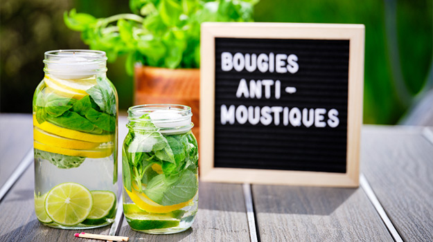 Bougies Anti-Moustiques