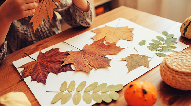 Décorer avec des feuilles 