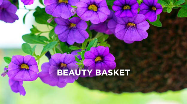 Make a hanging basket