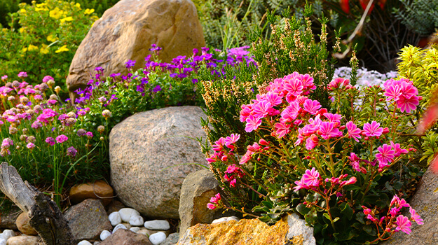 promix-how-to-create-an-alpine-rockery-01
