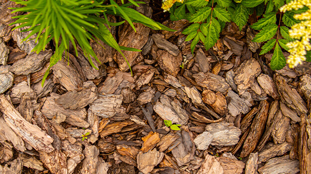 promix-how-to-create-an-alpine-rockery-11