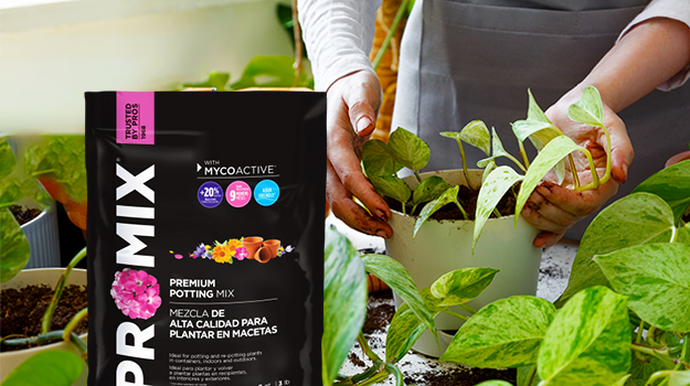 promix-how-to-deal-with-houseplant-pests-06