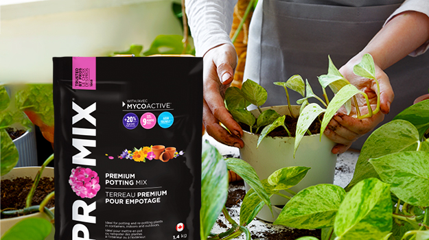 promix-how-to-deal-with-houseplant-pests-06