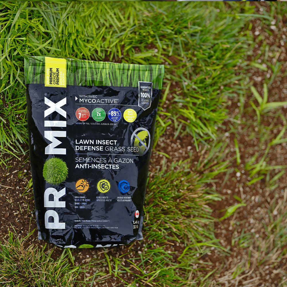 PRO-MIX Lawn Insect Defense Grass Seed CA