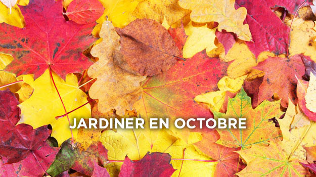 Quoi faire au jardin en octobre