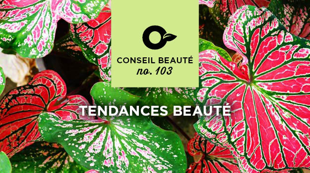 Tendances au jardin 2019