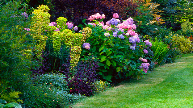 promix-landscaping-bushes-flower-beds-5-free-design-plans-01