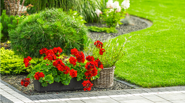 promix-landscaping-bushes-flower-beds-5-free-design-plans-02