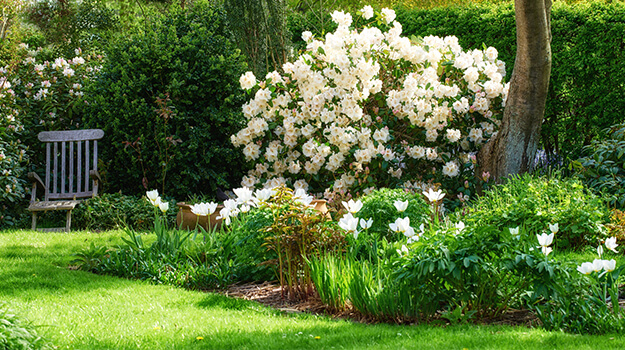 promix-landscaping-bushes-flower-beds-5-free-design-plans-04