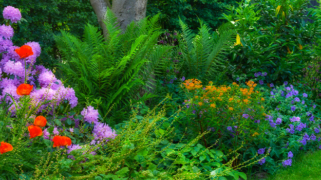 promix-landscaping-bushes-flower-beds-5-free-design-plans-07