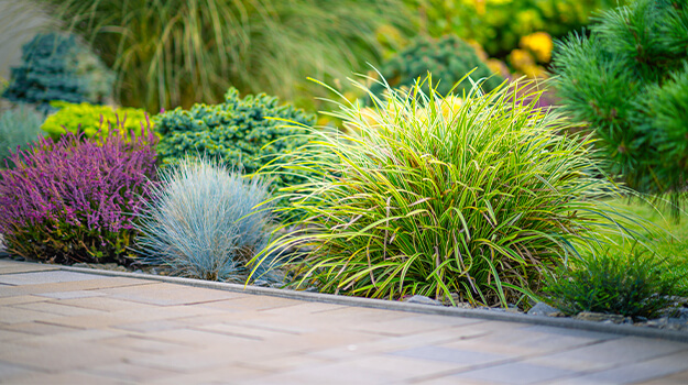 promix-landscaping-bushes-flower-beds-5-free-design-plans-10