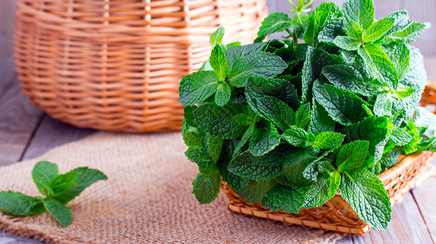 How to use mint in cooking and cocktails