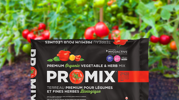PRO-MIX Use quality potting soil when planting tomatoes