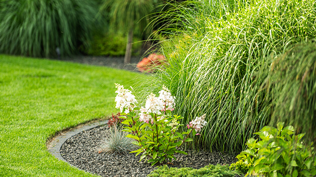 promix-ornamental-grass-guide-05