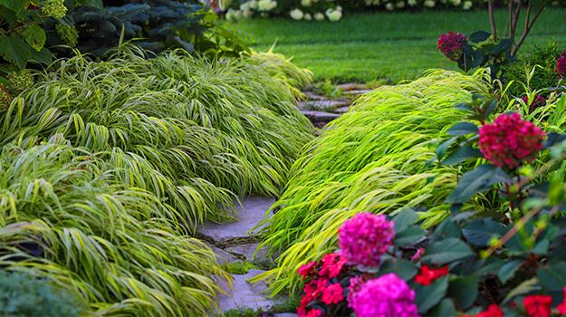 promix-ornamental-grass-guide-09