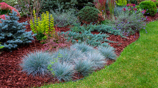 promix-ornamental-grass-guide-19