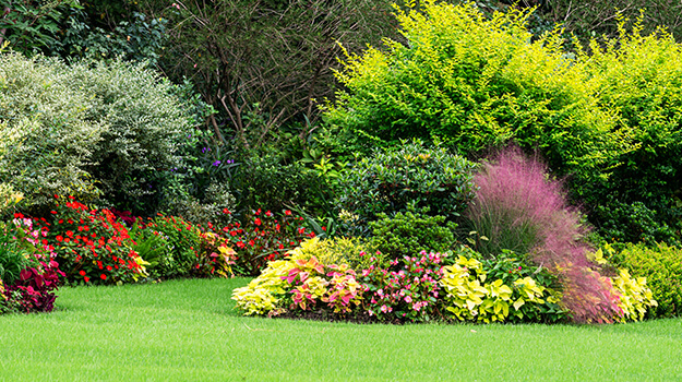 promix-ornamental-grass-guide-22