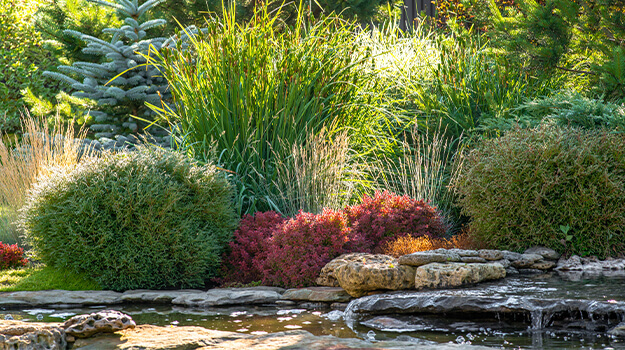promix-ornamental-grass-guide-29