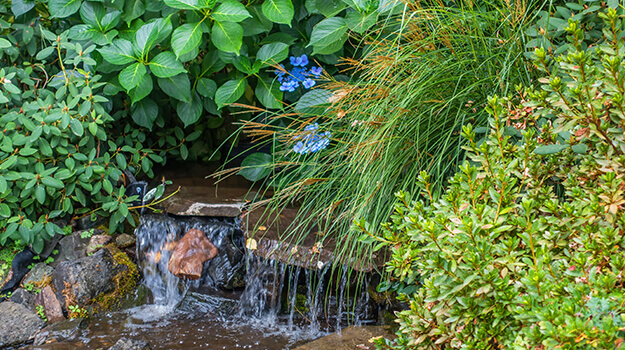 promix-ornamental-grass-guide-30