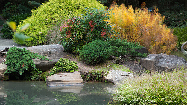 promix-ornamental-grass-guide-31