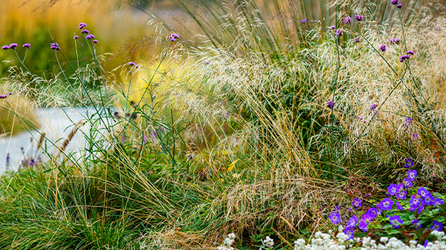 Create a flowerbed with ornamental grasses.