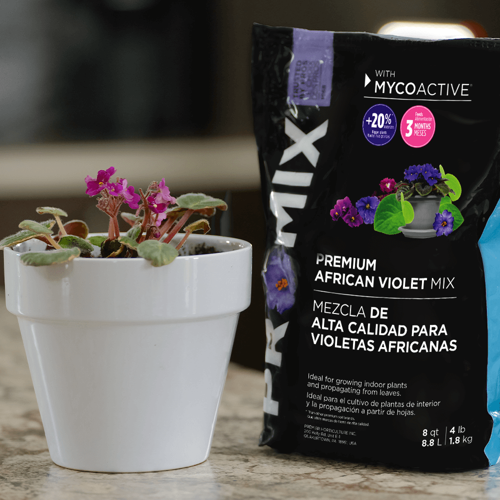 PRO-MIX Premium African Violet Mix