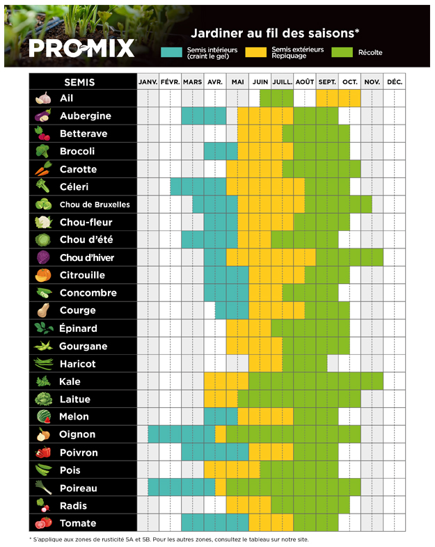 promix-starting-vegetable-seeds-indoors-complete-guide-tableau-02-fr