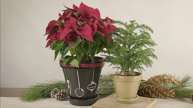 DIY Festive flower pots DIY Video 