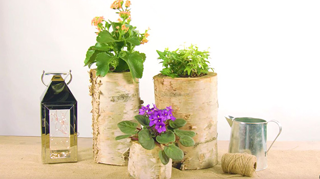 Log planter DIY Video