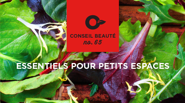 9 légumes fantastiques à cultiver en contenants