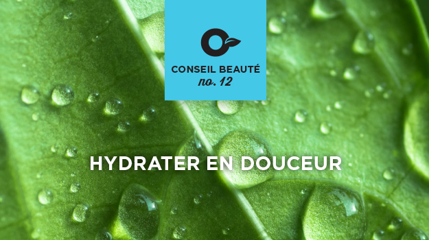 5 trucs pour économiser l'eau en jardinant