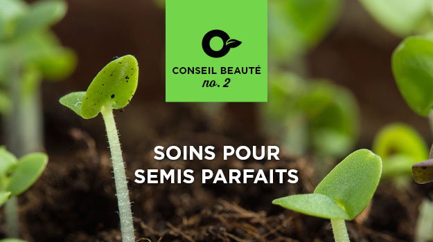 6 conseils pour des semis réussis!