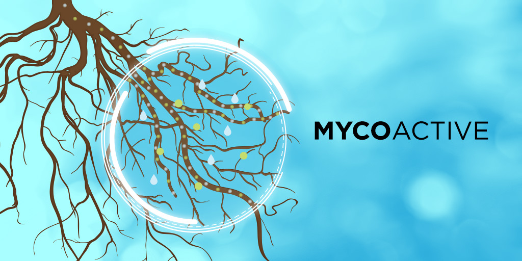 PRO-MIX MYCOACTIVE technology means bigger, healthier and more prolific plants.