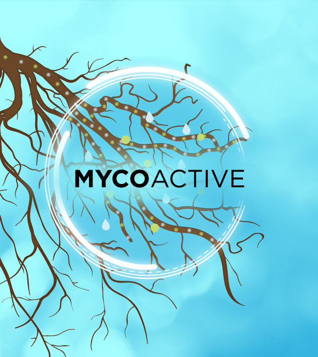 PRO-MIX MYCOACTIVE technology means bigger, healthier and more prolific plants.