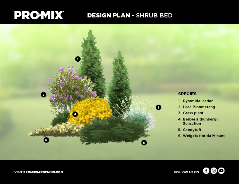 shrub-design-plan