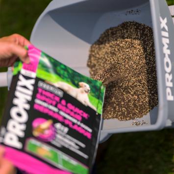 PRO-MIX Premium Thick & Quick Spot Repair Grass Seed 2