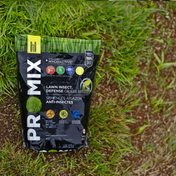 PRO-MIX Lawn Insect Defense Grass Seed CA