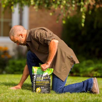 PRO-MIX Weed & Insect Defense Grass Seed 2