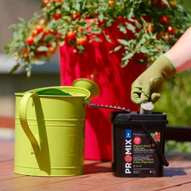 PRO-MIX Organic-based Tomatoes, Vegetables and Fruits Soluble Garden Fertilizer 9-16-16