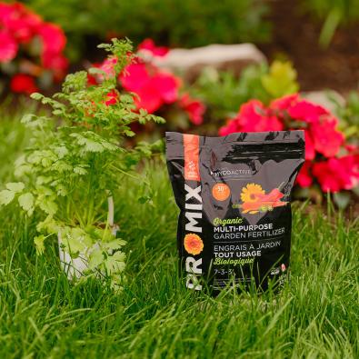 Organic on sale garden fertilizer