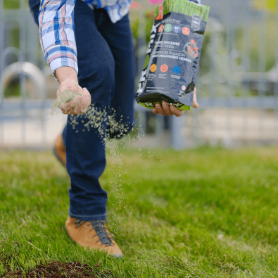 PRO-MIX Weed Defense Grass Seed