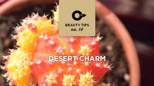 Take Care Of Cacti And Succulents Pro Mix Gardening