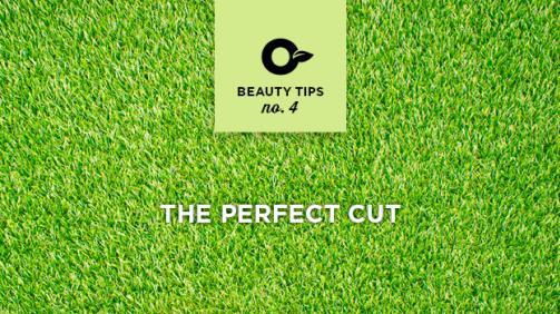 Is Now A Good Time To Overseed Your Lawn Pro Mix Gardening