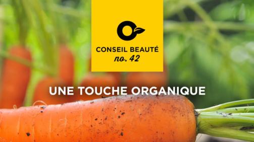 Organic gardening for beginners Organic gardening for beginners