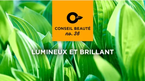 Comment ajouter de la vie à une pièce sombre avec des plantes vertes