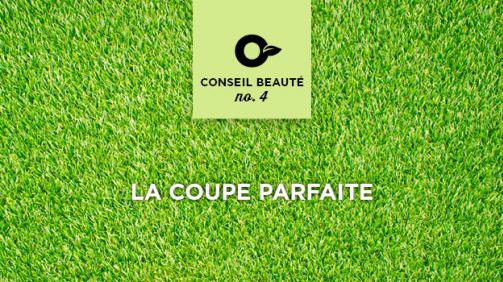 5 tips for a perfect lawn 5 tips for a perfect lawn